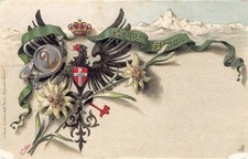 Alpini reggimento alpini usato  Rovigo