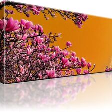 Magnolien blumen bild gebraucht kaufen  Deutschland