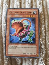 Yugioh tcg gigantic usato  Spedire a Italy