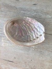 Coquille ormeau abalone d'occasion  Royan