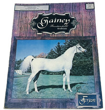 1974 arabian horse for sale  Albert Lea