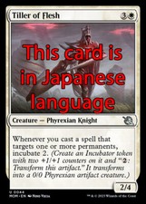 Mtg tiller flesh usato Mtg tiller flesh usato  Bari