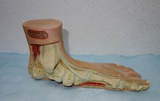 somso gebraucht kaufen somso gebraucht kaufen Buchbach