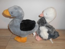 Graugans gans ente gebraucht kaufen  Nürnberg