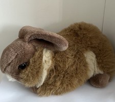 Chantilly soft fluffy for sale  LIVERPOOL