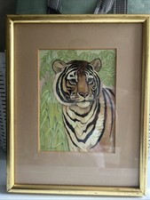 Rosalind baldwin. bengal for sale  LEEDS