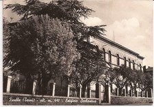 Ficulle edificio scolastico usato  Montefiascone