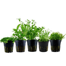 Pflanzen set vordergrund gebraucht kaufen  Worms