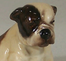Royal doulton bulldog for sale  Aurora