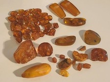 Butterscotch ambe amber for sale  High Point