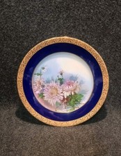 Belle assiette porcelaine d'occasion  Doué-la-Fontaine