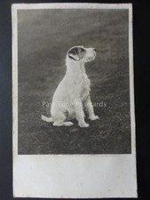 Dogs theme fox for sale  UK