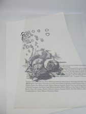 Lotto xilografie schialvino usato  Torino