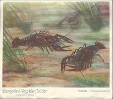 Sammelbild voss margarinefabri gebraucht kaufen Sammelbild voss margarinefabri gebraucht kaufen  Hannover