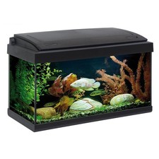 Acquario milo led usato  Napoli