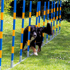 Hunde slalom procyon gebraucht kaufen  Markt Schwaben