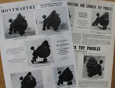 Poodle toy miniature for sale  HOLYWELL