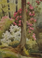 Original watercolour woodland for sale  WIRRAL