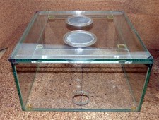 Ameisen antstore arena gebraucht kaufen  Zorneding