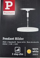 Led pendel paulmann gebraucht kaufen  Idar-Oberstein