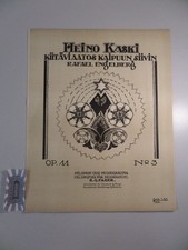 Kiitävi aatos kaipuun gebraucht kaufen  Salzwedel