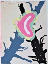 Jörg immendorff farbserigrafi gebraucht kaufen  Mechernich