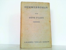 Sommerroman flake tto gebraucht kaufen  Lahstedt