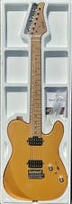 Eart elektro gitarre gebraucht kaufen  Wilhelmsfeld
