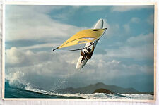 Windsurfing poster larry for sale  Green Valley