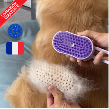 Brosse vapeur électrique d'occasion  Gevrey-Chambertin