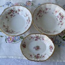 Paragon fine bone for sale  WILMSLOW