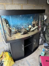 bow front aquarium for sale bow front aquarium for sale ROYSTON