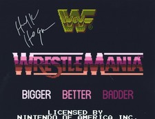 Hulk hogan wwf for sale  Brandon
