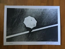 Serigrafia renato agostin usato  Spinea