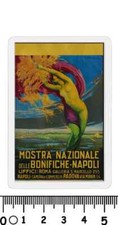 Calamita mostra bonifiche usato  Italia