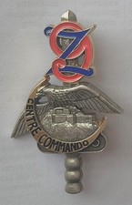 Insigne centre commando d'occasion  Saint-Jean-de-Braye