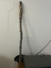Dried cactus branch for sale  Santa Fe