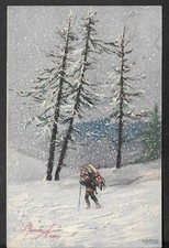 Rara cartolina paesaggio usato  Torino