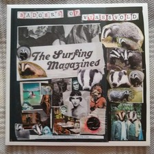 Badgers wymesworld surfing for sale  LIVERPOOL