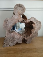 Tree slice wood for sale  IPSWICH