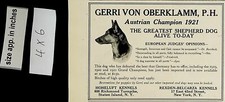 1922 austrian champion for sale  Stockton