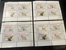 mini goats for sale mini goats for sale WIGAN