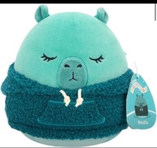 Squishmallow nastia capybara for sale  MANCHESTER