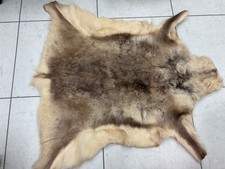 Reindeer hide rug for sale  BODMIN