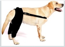 Dog knee brace for sale  LEEDS