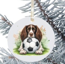 Cane springer spaniel usato  Spedire a Italy