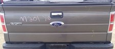 Ford f150 tailgate for sale  Roseville