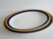 Geschirrteile speise service gebraucht kaufen  Lehre