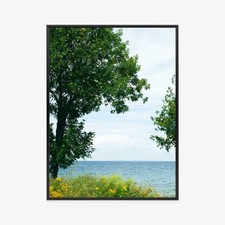 Plakat w ramie Jezioro Drzewa Natura Letni Widok Premium na sprzedaż  PL