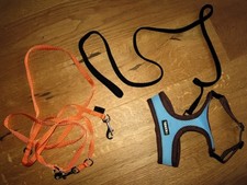 Katzengeschirr kerbl leine gebraucht kaufen  Deutschland